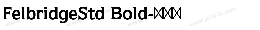 FelbridgeStd Bold字体转换